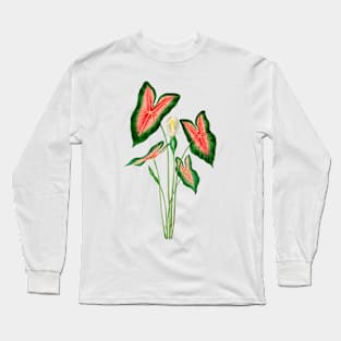 Elephant ear (Caladium bicolor)- Botanical Illustration Long Sleeve T-Shirt